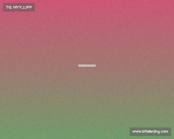 激情篮球赛事日程安排总览